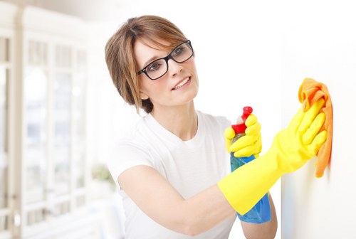 Professional pet stain and odour removal for an Edgware home carpet