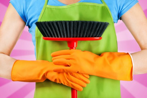 Professional cleaners in Edgware providing home cleaning support