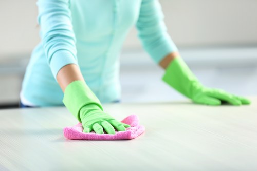 Local carpet cleaner treating a carpet in an Edgware property