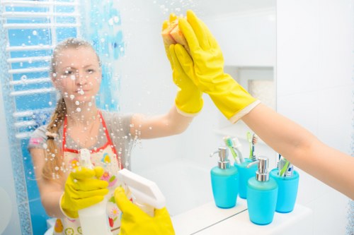 Preparation checklist for pet stain cleaning in an Edgware flat