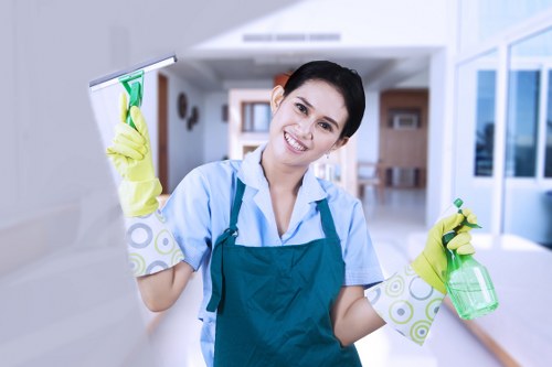 Detailed deep clean of a domestic oven and racks