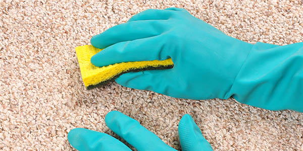 Edgware Carpet Cleaning | Rug Cleaning HA8 Edgware